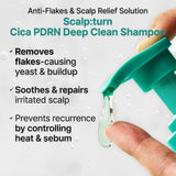 Dziļi attīrošs šampūns Lilyeve SCALP: Turn Cica PDRN Deep Clean Shampoo