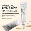 Lokālais krēms pret iekaisumiem VT Cosmetics Garlic AC Reedle Shot Spot Cream