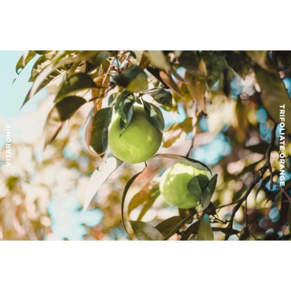 Krēmveida gels mirdzuma piešķiršanai ādai ar C vitamīnu SNP Prep Vitaronic Gel Cream