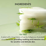 Ar toniku piesūcināti un tējas koku bagātināti spilventiņi problemātiskai ādai Dr. Ceuracle Tea Tree Purifine Toner Pad