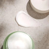 Atsvaidzinošs dienas krēms ar fitokolagēnu MIZON Phyto Plump Collagen Day Cream