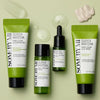 Набор миниатюр для сужения пор с чаем матча Some By Mi Super Matcha Pore Care Starter Kit